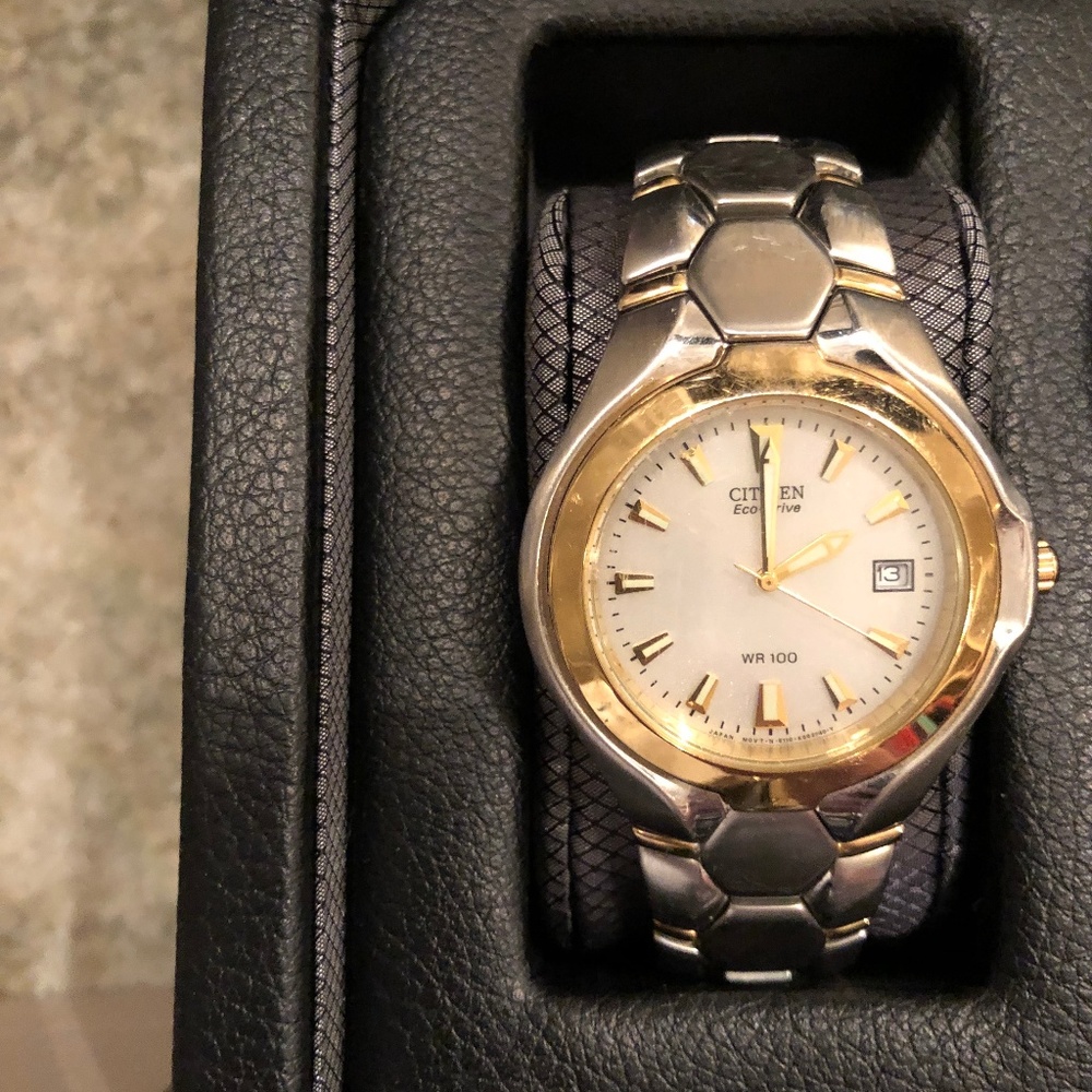 Men's Citizen Eco Drive Watch Gold/SS